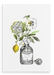 Chypre Canvas Print Les Parfums 28"x40"(70x100 cm) Canvas Print