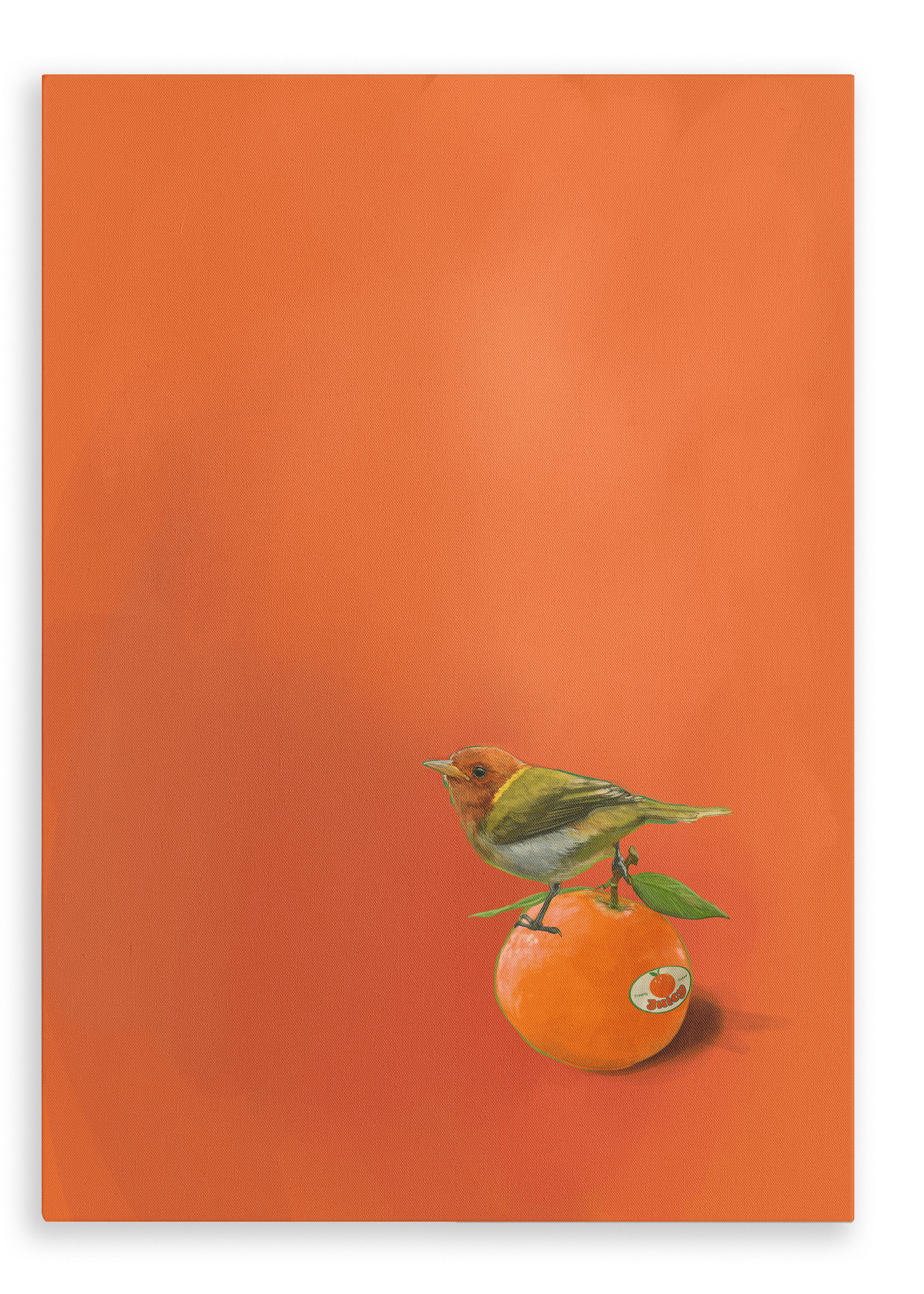 Tangerine Tanager Giclée Canvas Print Sticky Beaks 28"x40"(70x100 cm) Canvas Print
