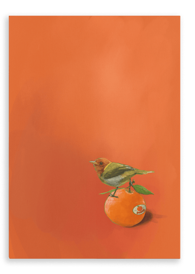 Tangerine Tanager Giclée Canvas Print Sticky Beaks 28"x40"(70x100 cm) Canvas Print