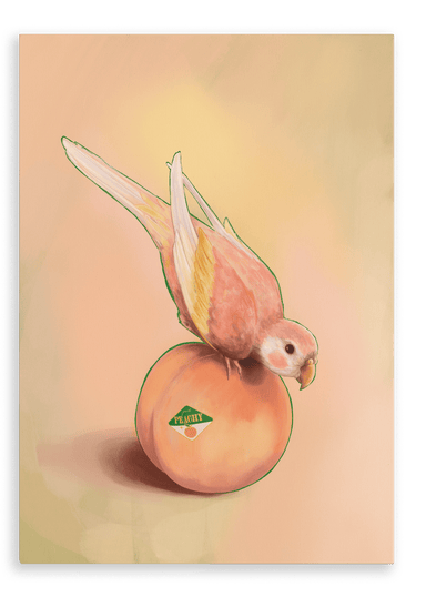 Peachy Parakeet Giclée Canvas Print Sticky Beaks 28"x40"(70x100 cm) Canvas Print