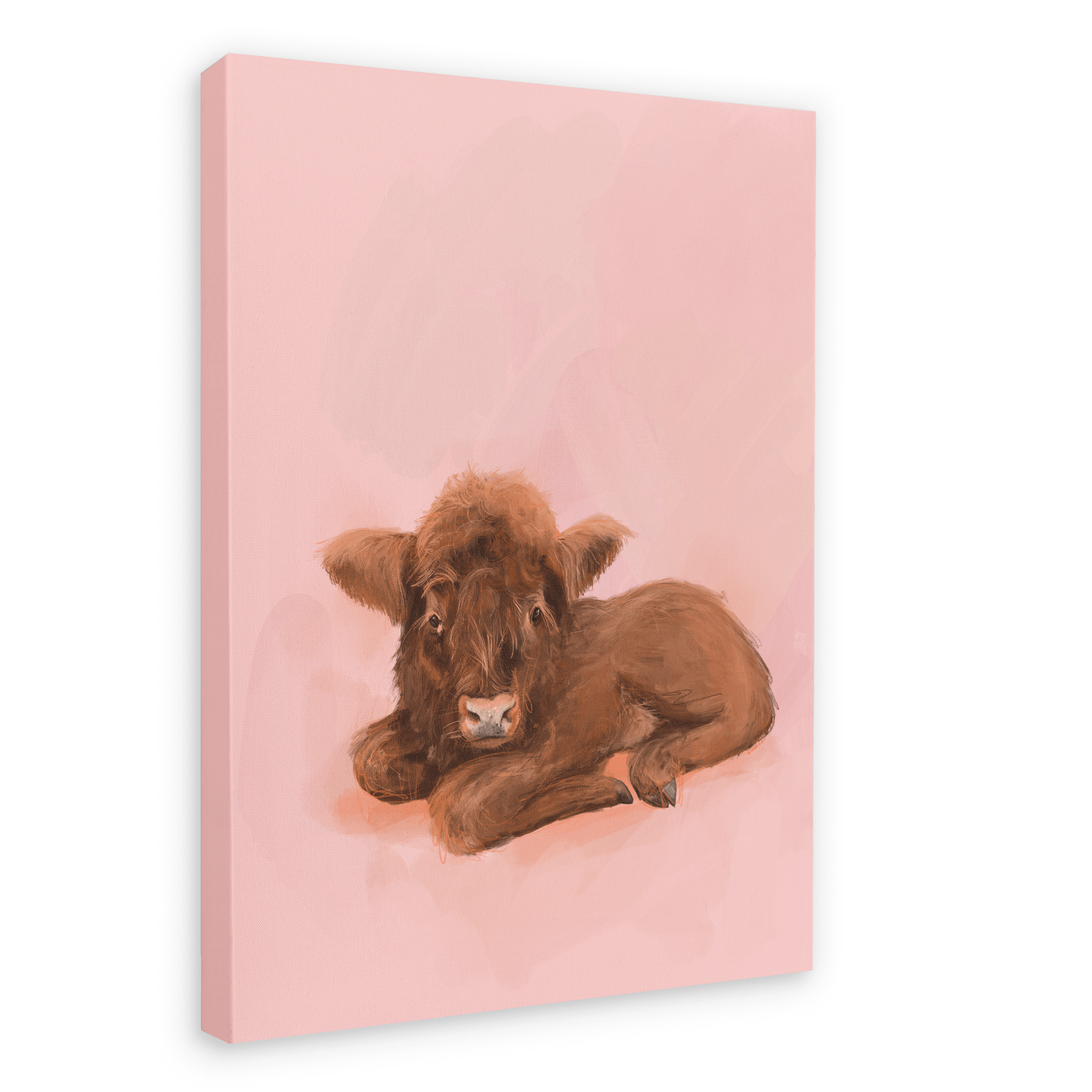 Baby Kyloe Giclée Canvas Print Food Fur & Feathers 28"x40"(70x100 cm) Canvas Print