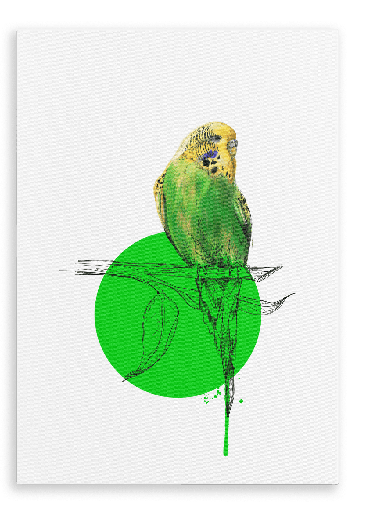 Budgie Canvas Print Drippy Birds 28"x40"(70x100 cm) Canvas Print