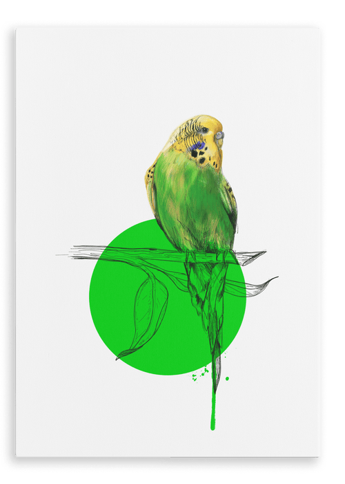 Budgie Canvas Print Drippy Birds 28"x40"(70x100 cm) Canvas Print
