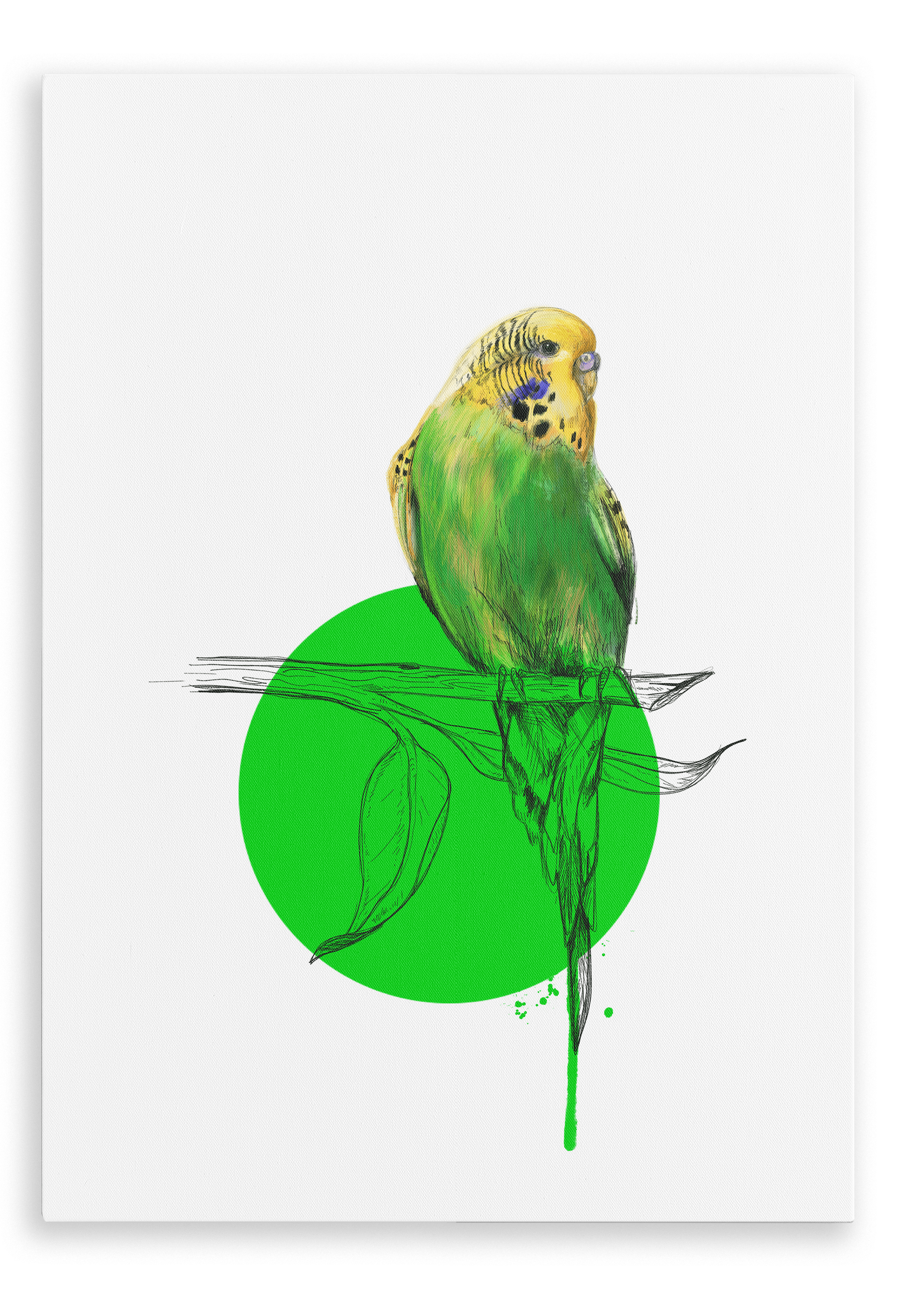 Budgie Canvas Print Drippy Birds 28"x40"(70x100 cm) Canvas Print