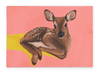 Friendly Fawn Giclée Canvas Print Creature Features 28"x40"(70x100 cm) Canvas Print