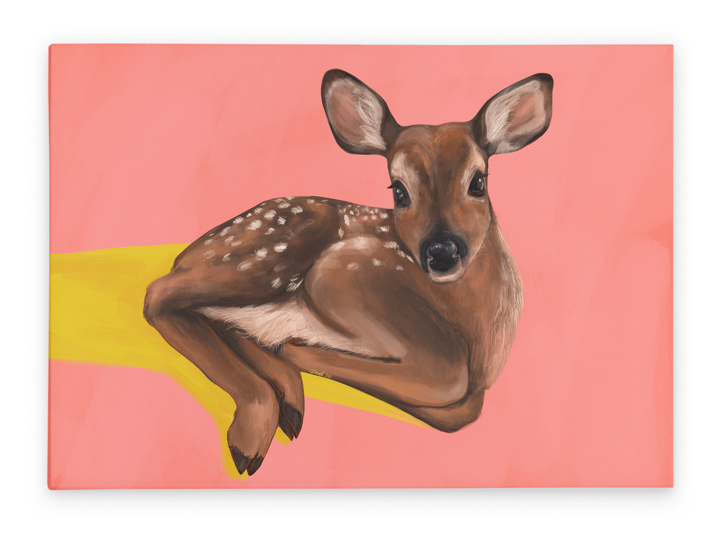 Friendly Fawn Giclée Canvas Print Creature Features 28"x40"(70x100 cm) Canvas Print