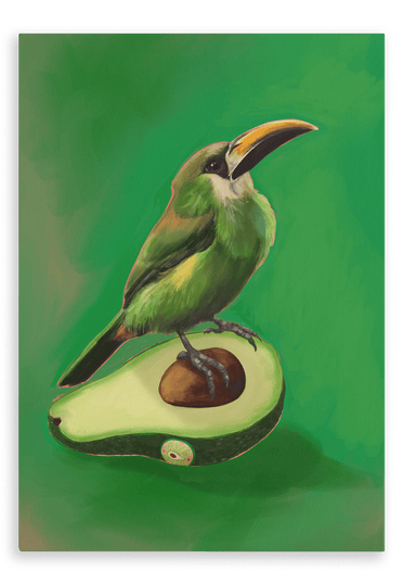 Avocado Aulacorhynchus (Green Toucanet) Giclée Canvas Print Sticky Beaks 28"x40"(70x100 cm) Canvas Print