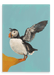 Posing Puffin Giclée Canvas Print Creature Features 28"x40"(70x100 cm) Canvas Print