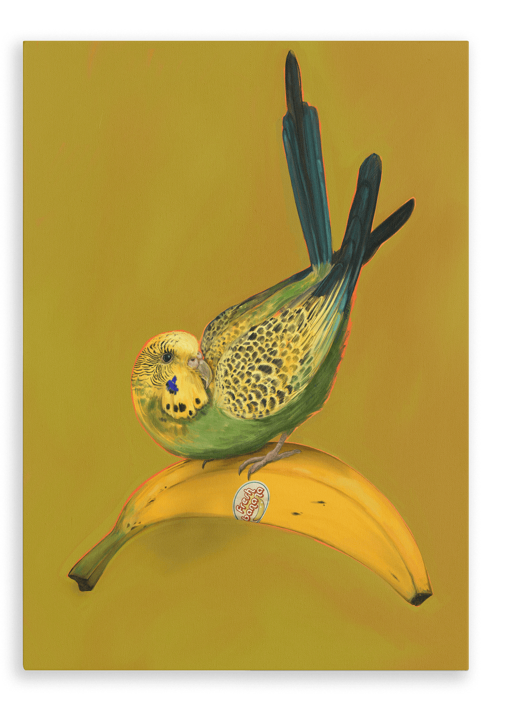 Banana Budgie Giclée Canvas Print Sticky Beaks 28"x40"(70x100 cm) Canvas Print