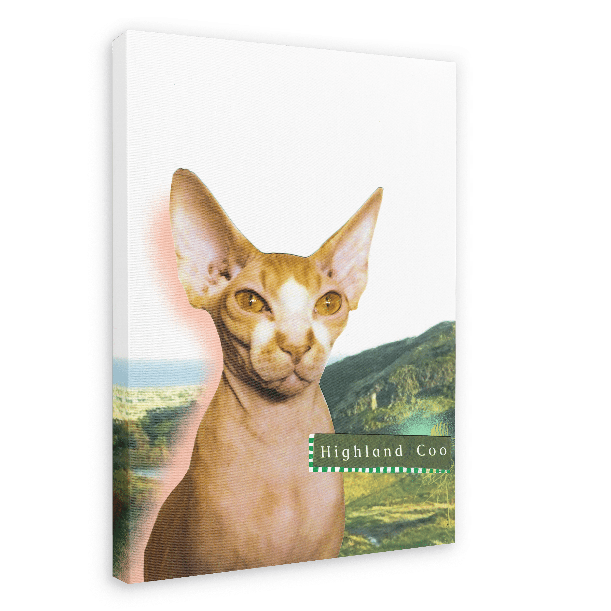 Highland Coo Matte Canvas Print Cat Cafe 28"x40"(70x100 cm) Canvas Print