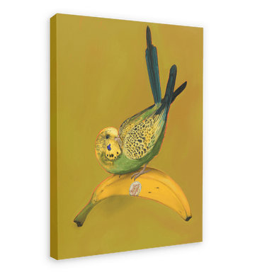 Banana Budgie Giclée Canvas Print Sticky Beaks 28"x40"(70x100 cm) Canvas Print