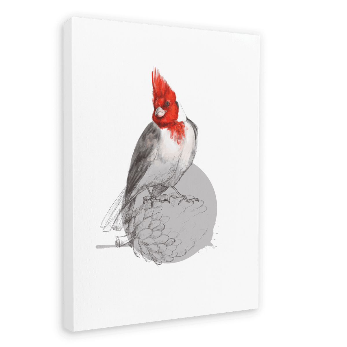 Red Crested Cardinal Canvas Print Drippy Birds 28"x40"(70x100 cm) Canvas Print