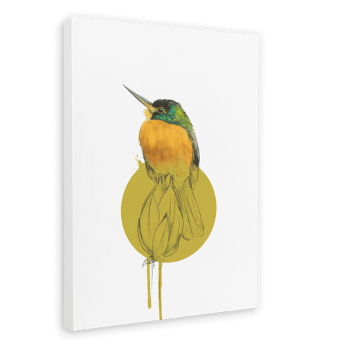 Blue Cheeked Jacamar Canvas Print Drippy Birds 28"x40"(70x100 cm) Canvas Print