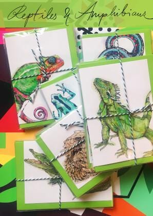 Reptiles & Amphibians Greeting Card Set Card Set Card Set