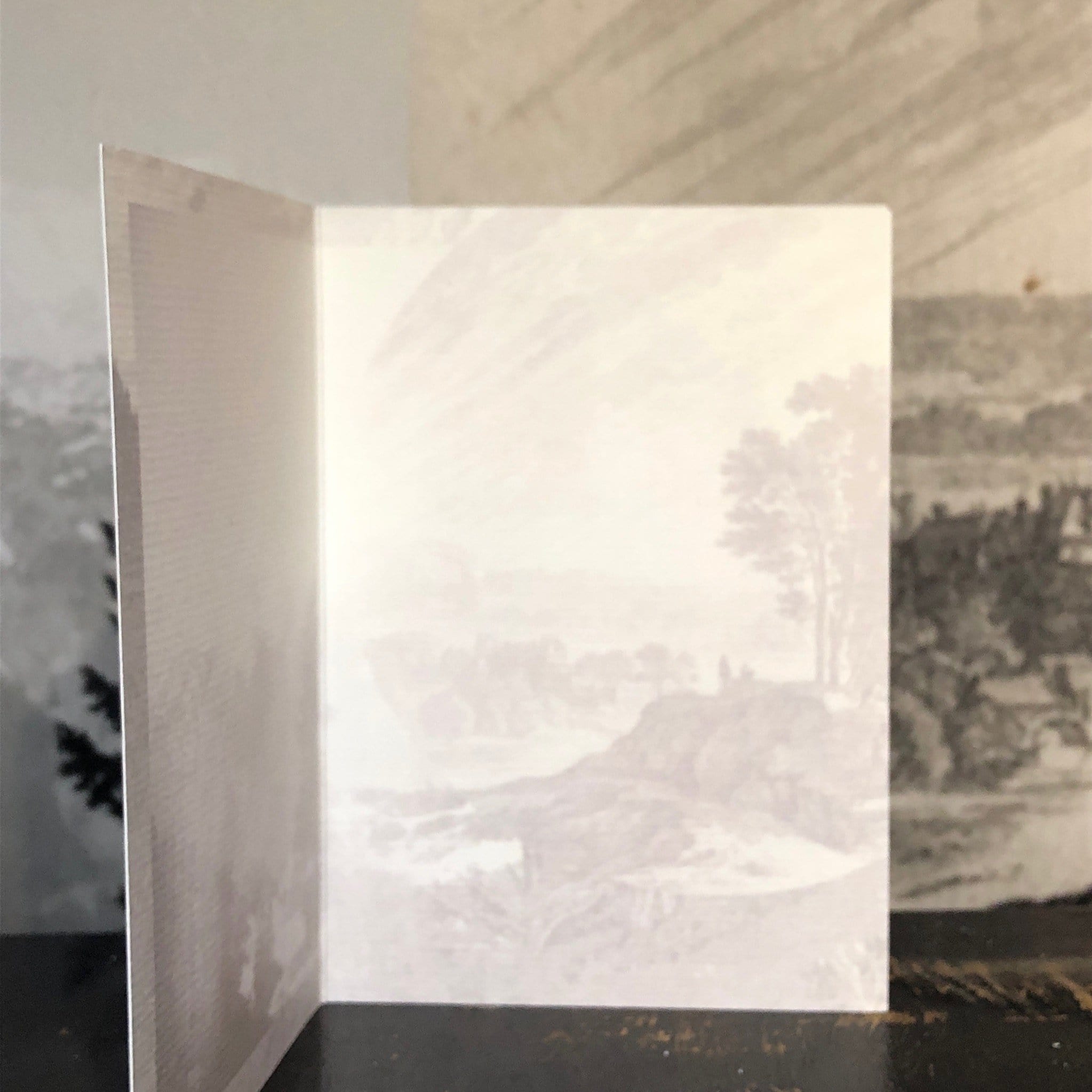 Pink Toile Bitches Be Partying Greeting Card Victoriana Greeting Cards Card