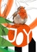 Robin Redbreast - Christmas Joy Greeting Card Greeting Card Beaky Blooms Greeting Card