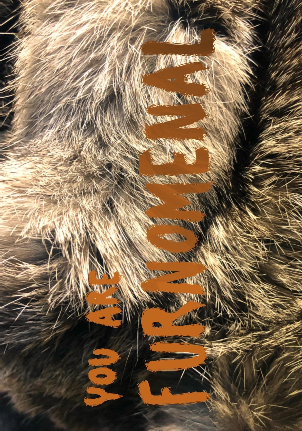 Furnomenal Greeting Card Food, Fur & Feathers Greeting Cards Card