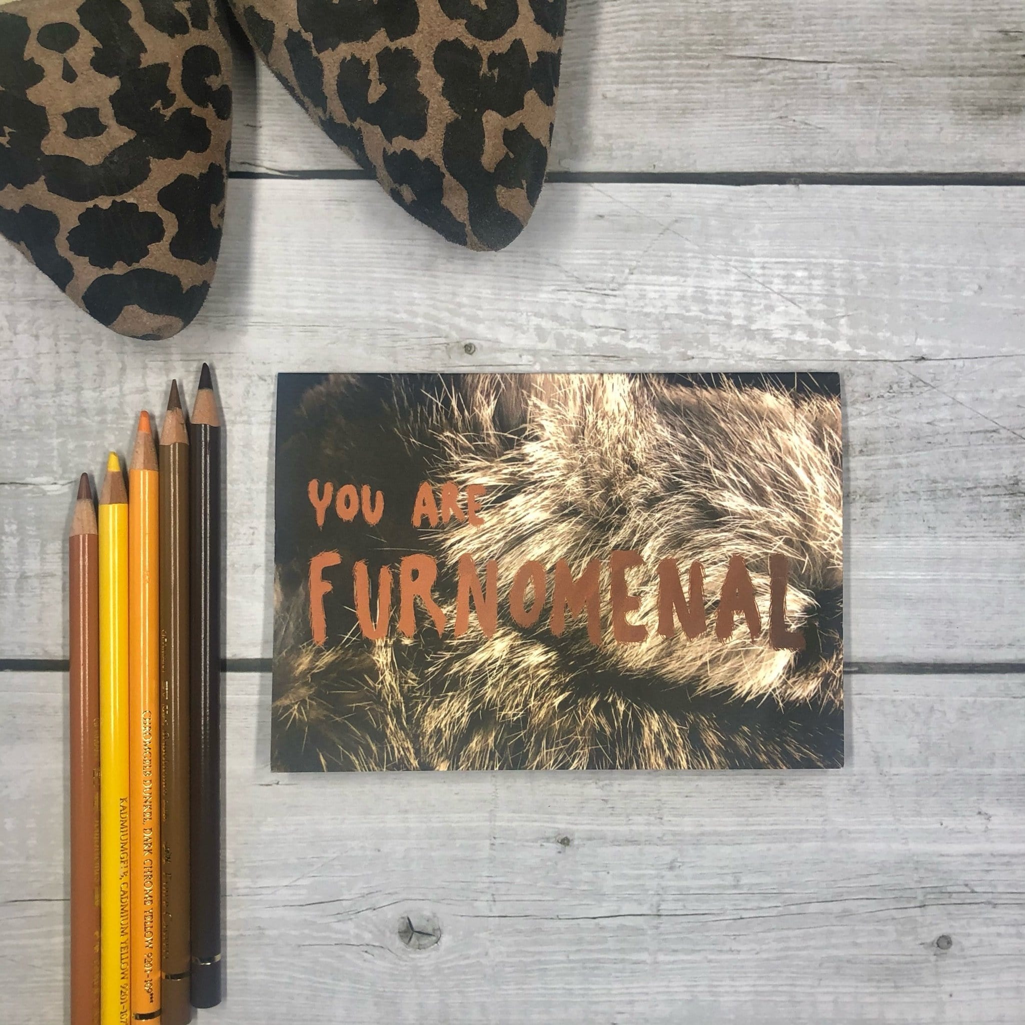 Furnomenal Greeting Card Food, Fur & Feathers Greeting Cards Card