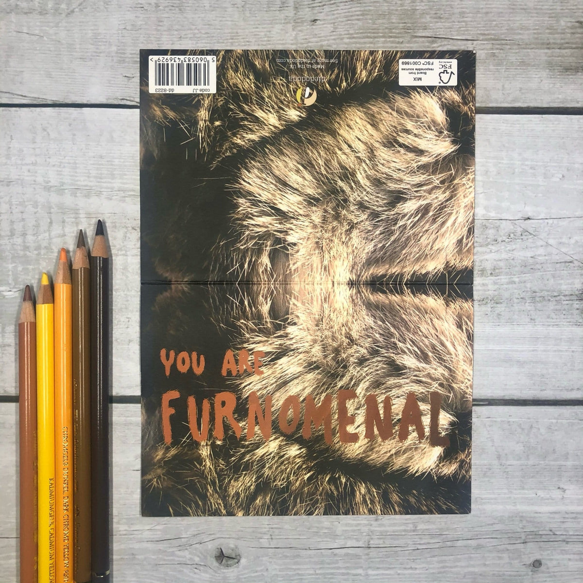 Furnomenal Greeting Card Food, Fur & Feathers Greeting Cards Card