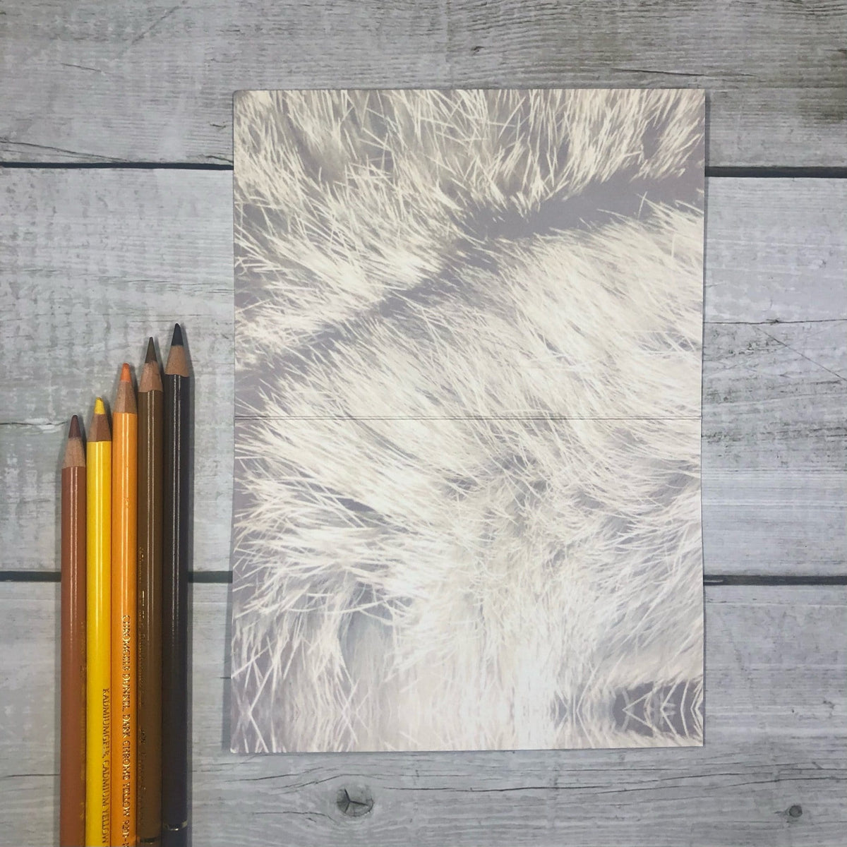 Furnomenal Greeting Card Food, Fur & Feathers Greeting Cards Card