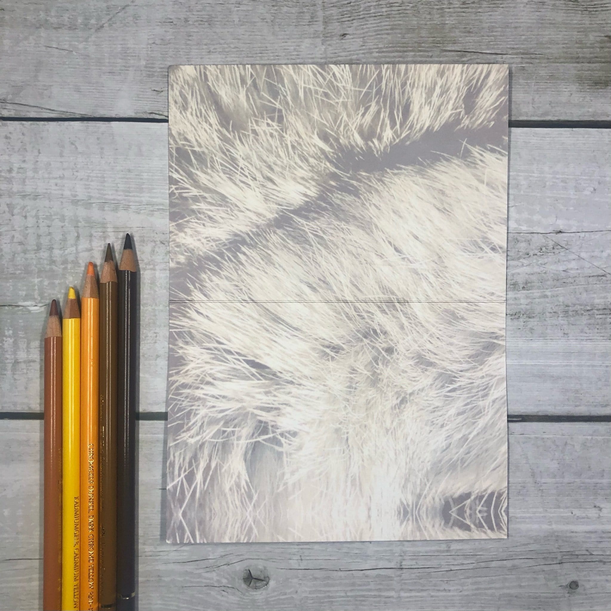 Furnomenal Greeting Card Food, Fur & Feathers Greeting Cards Card