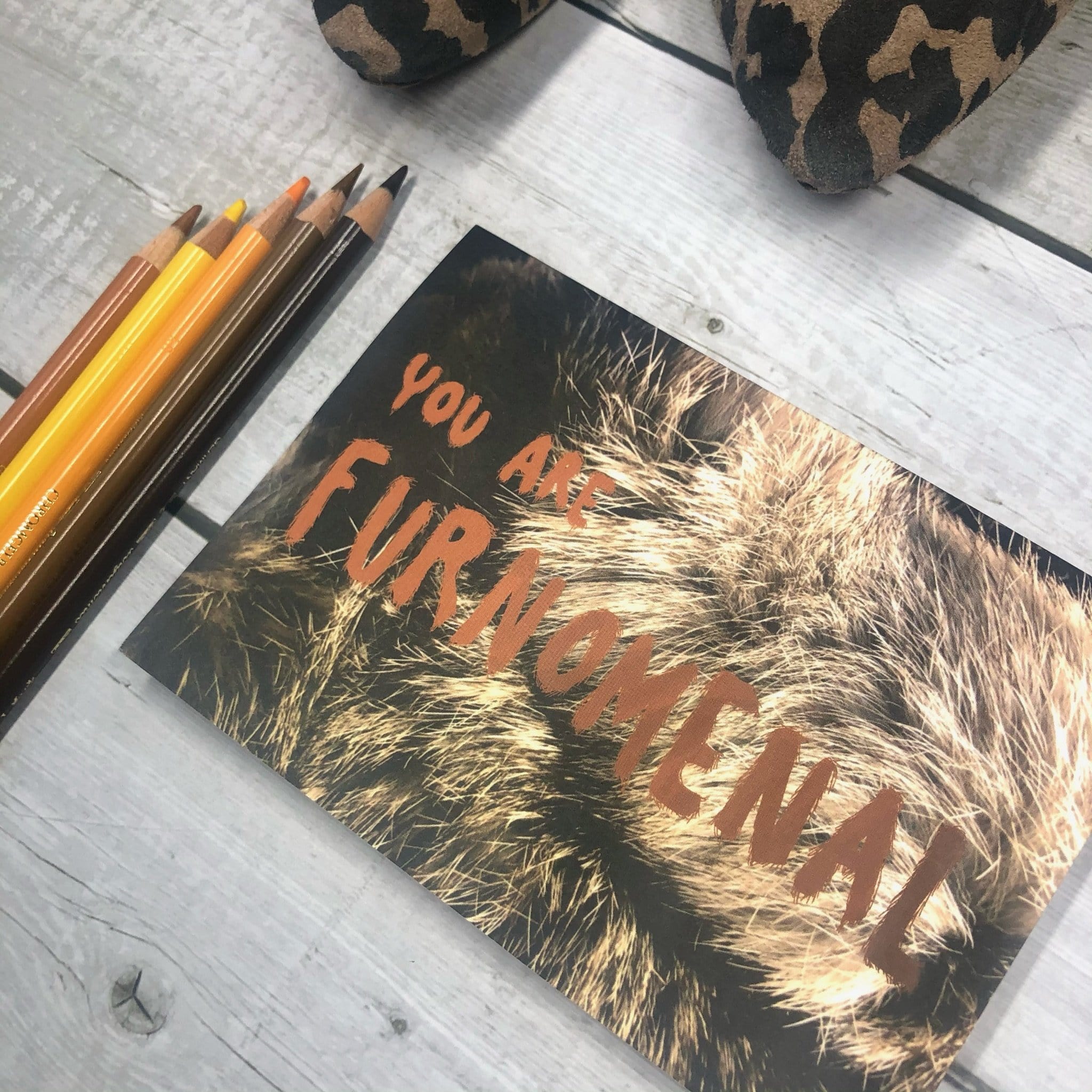 Furnomenal Greeting Card Food, Fur & Feathers Greeting Cards Card