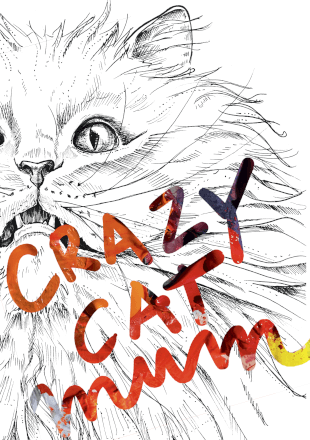 Crazy Cat Mum Greeting Card Furry Friends Greeting Cards Card