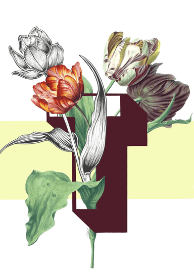 Botanical Alphabet T Matte Art Print Botanical Alphabet Art Print