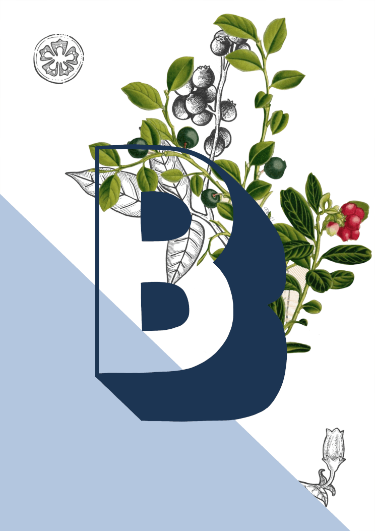 Botanical Alphabet B Matte Art Print Botanical Alphabet Art Print