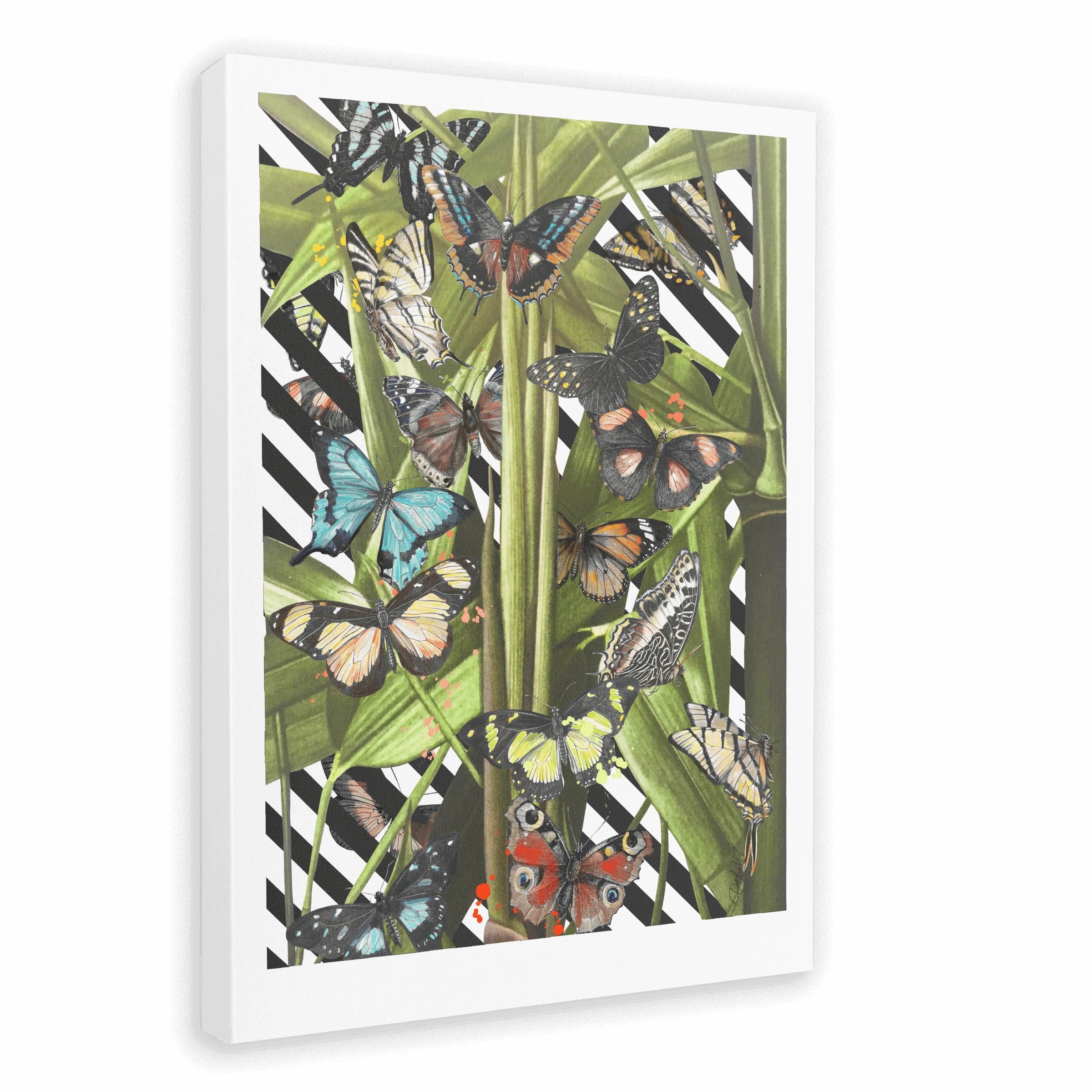 Butterfly Tropicana Canvas Print The Gathering 28"x40"(70x100 cm) Canvas Print