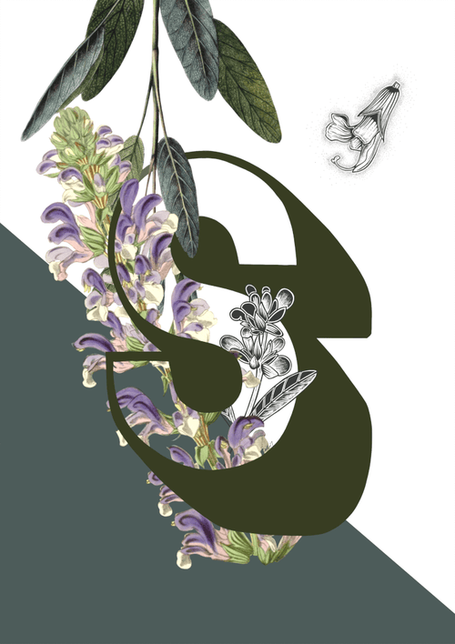 Botanical Alphabet S Matte Art Print Botanical Alphabet Art Print