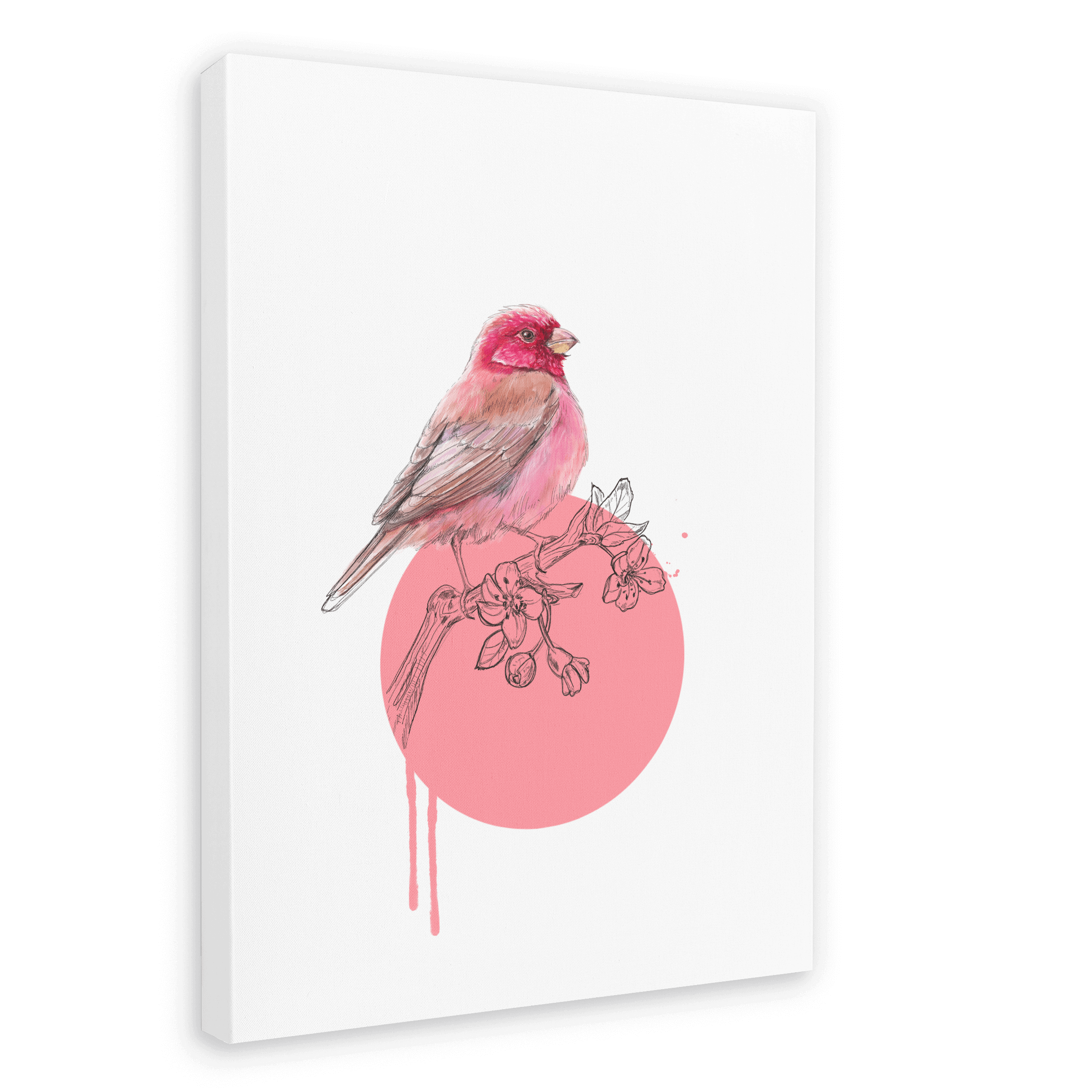 Rose Finch Canvas Print Drippy Birds 28"x40"(70x100 cm) Canvas Print