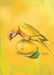 Lemon Lorikeet Giclée Art Print Sticky Beaks Art Print