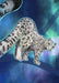 Blue Snow Leopard Giclée Art Print
