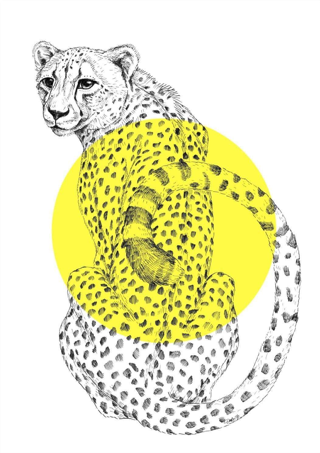 Cheetah Matte Art Print