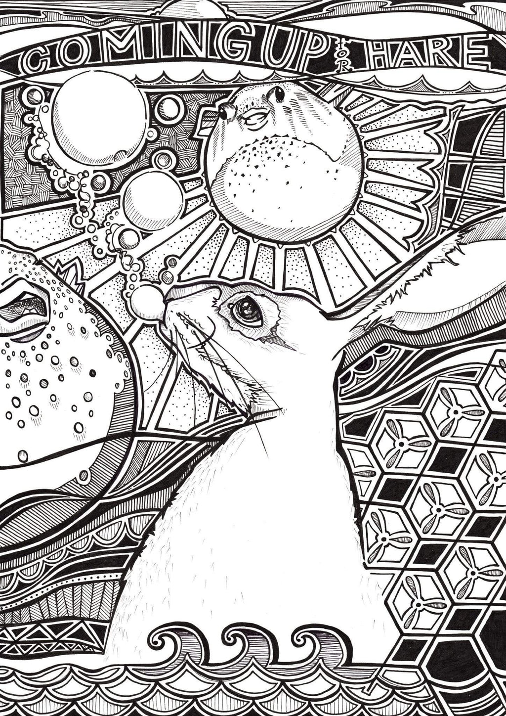 Coming Up For Hare Matte Art Print