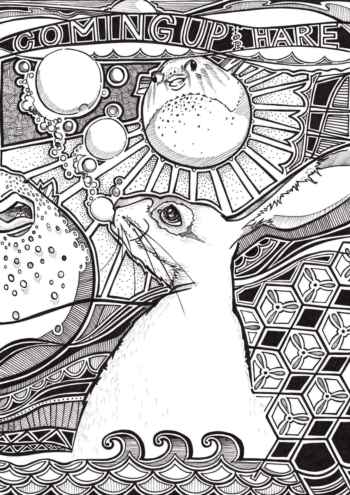 Coming Up For Hare Matte Art Print