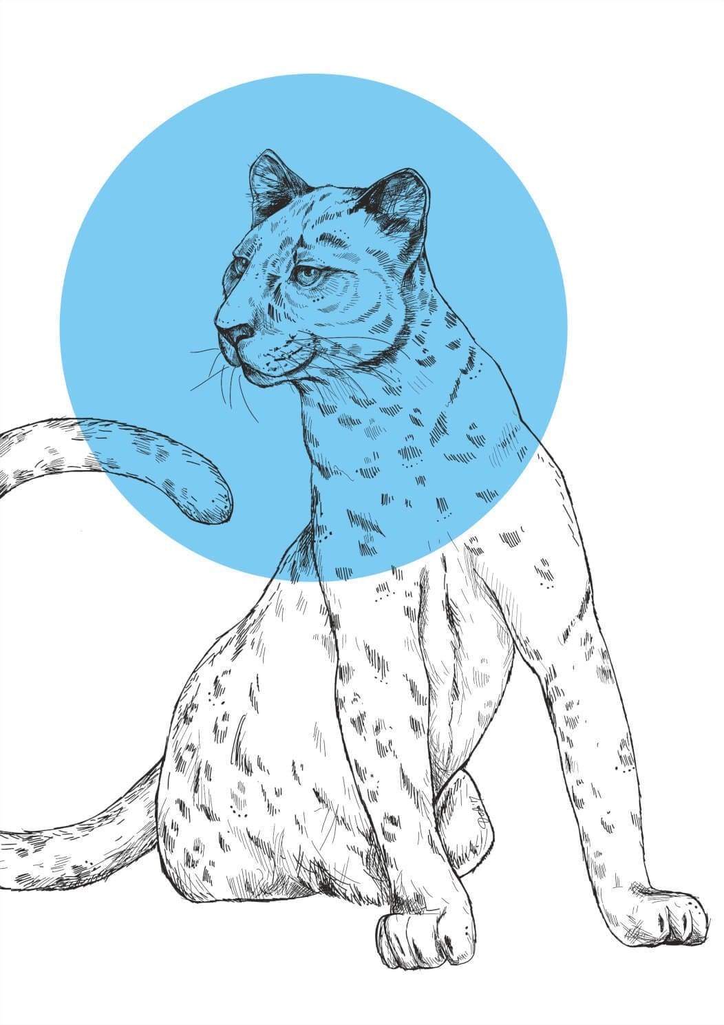 Panther Matte Art Print