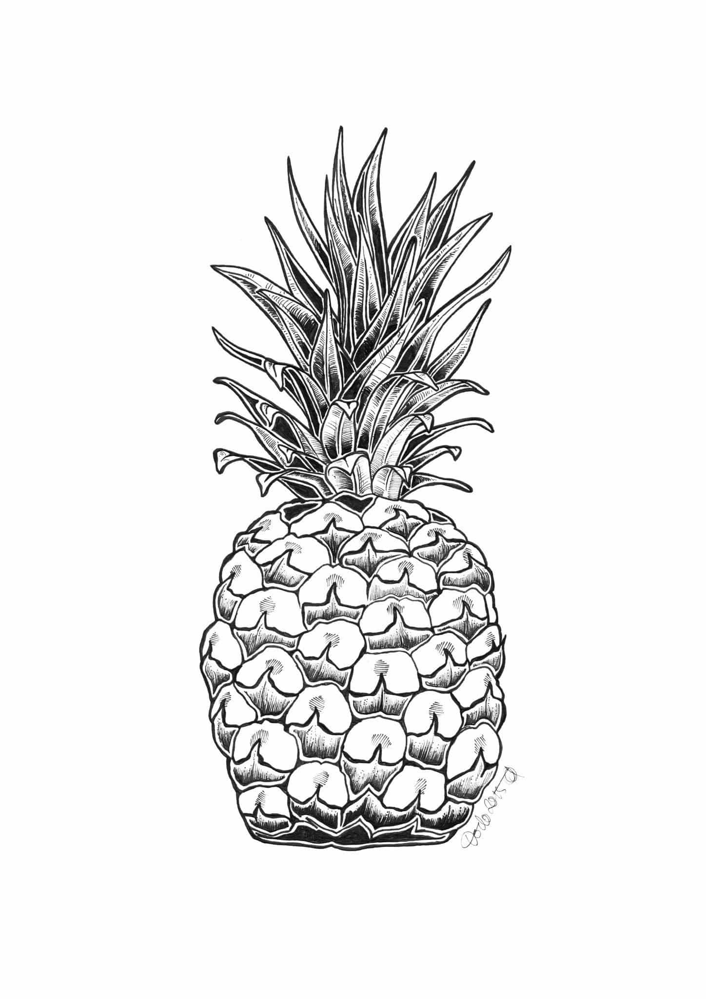 Pineapple Ink Drawing Matte Art Print
