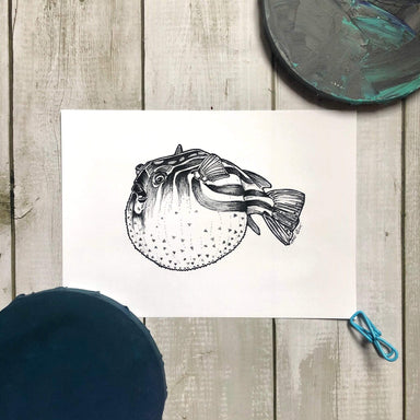 Blowfish Ink Drawing Matte Art Print