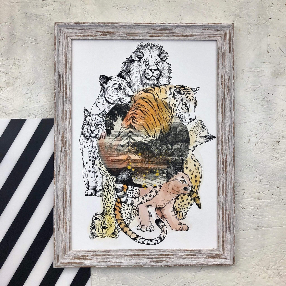 Cataloupe Matte Art Print