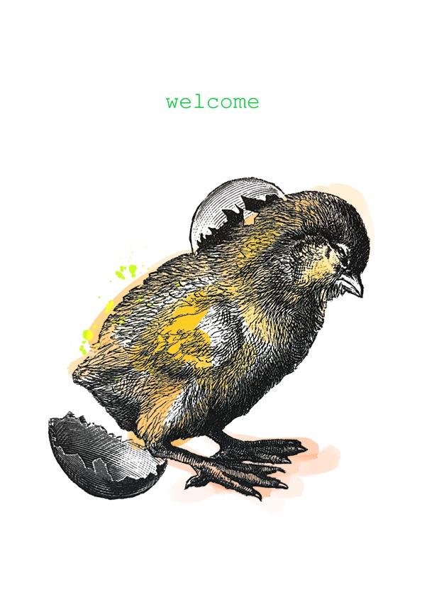 Welcome Chick Greeting Card