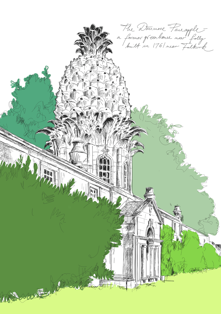 Dunmore House Pineapple Matte Art Print