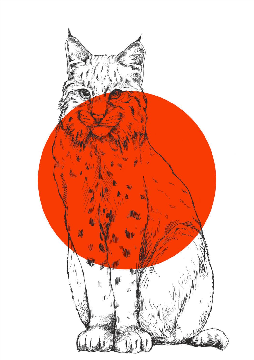 Bobcat A3 Print