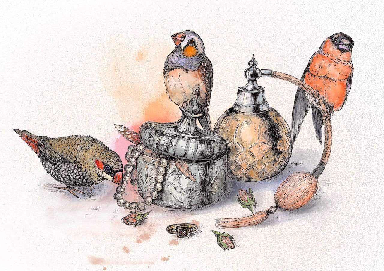 This image contains Illustration,Bird,European robin,Drawing,Watercolor paint,Still life