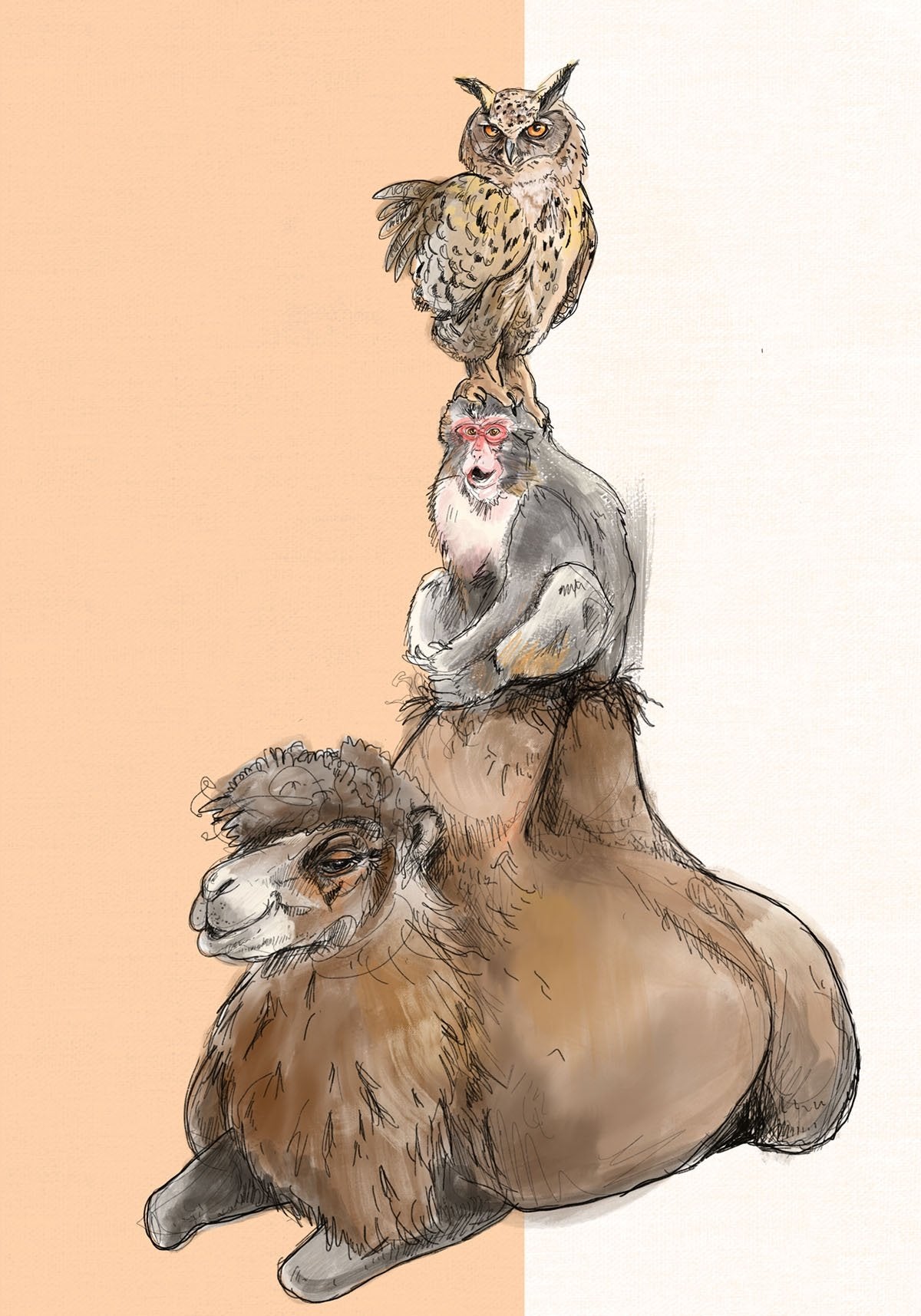 Eagle Owl, Macaque & Camel Greeting Card - (Trade Pack 6)