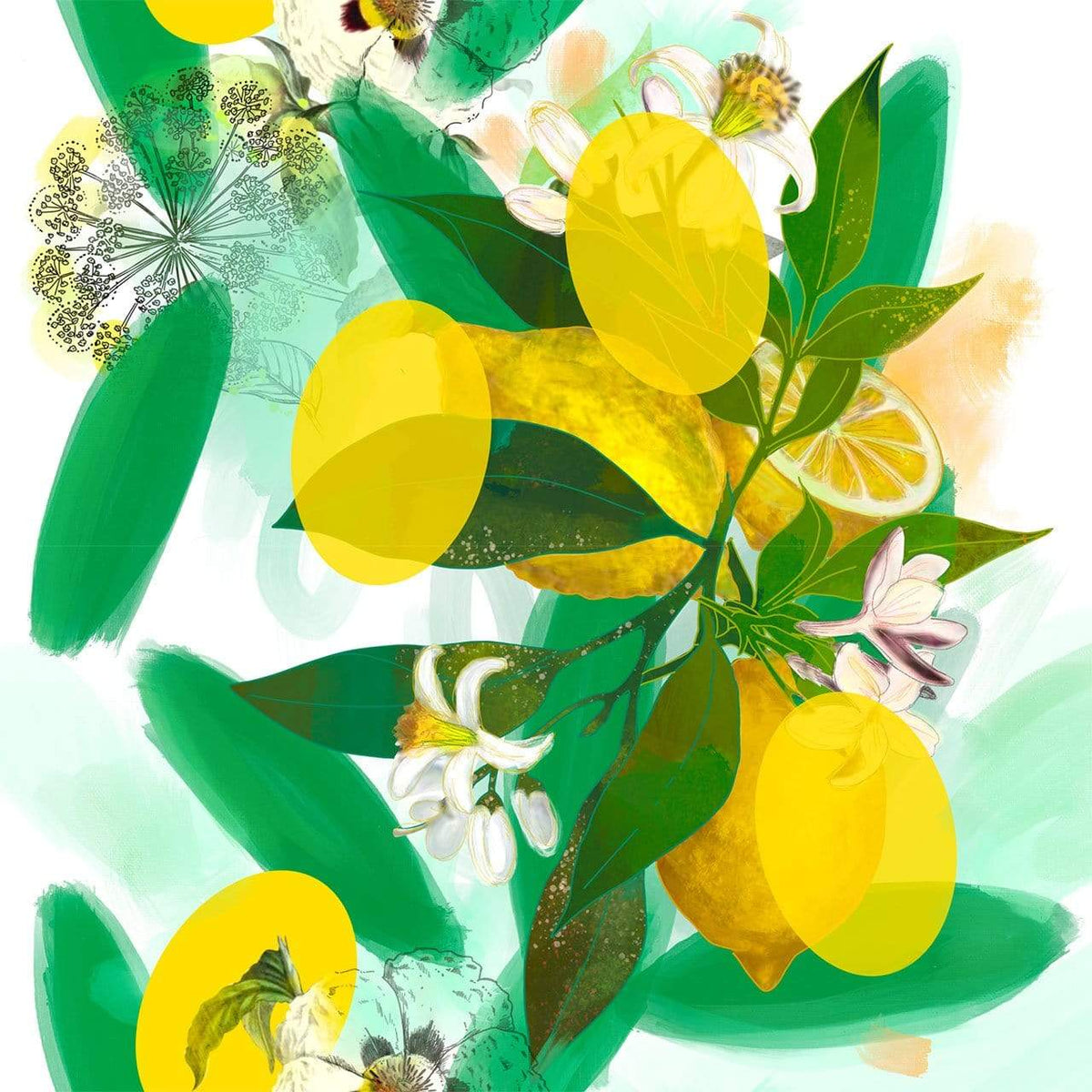 108-100 Chypre Pattern