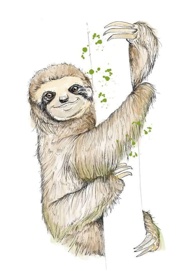 This image contains Sloth,Three-toed sloth,Two-toed sloth,Drawing,Sketch,Illustration