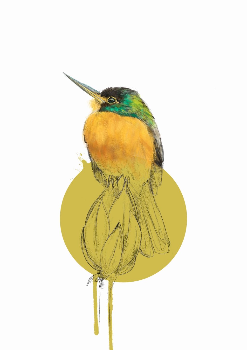 Blue Cheeked Jacamar A4 Giclée Print