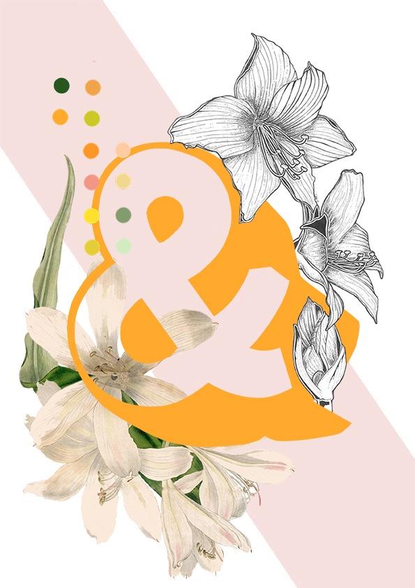 Botanical Alphabet & Greeting Card